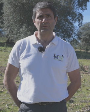 Manuel