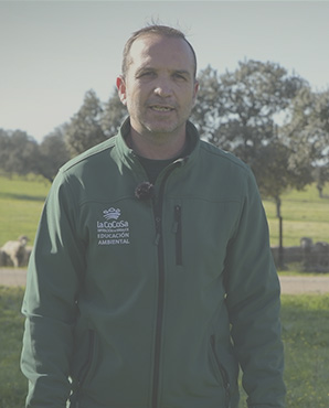 Javier Rosa