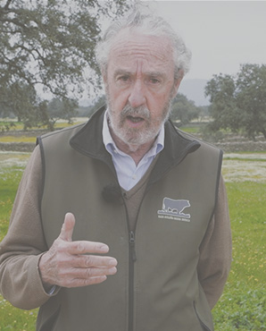 Álvaro VALDUEZA 