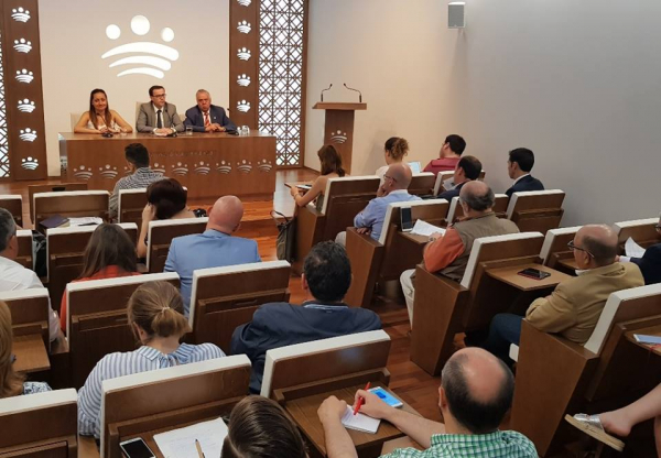 Imagen: El pleno extraordinario de la Diputación de Badajoz aprueba cinco planes de inversión para la pro...