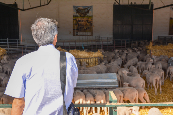 Imagen: Productores agrícolas ecuatorianos visita la finca La Cocosa de Diputación de Badajoz