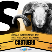 La subasta nacional de raza merina de la 35 edición del Salón Ovino de Castuera se celebrará el 26 de septiembre