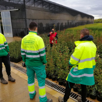 La Escuela Profesional `Campiña Sur II´ visita el Vivero Provincial de la Diputación de Badajoz