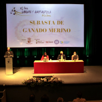 La Diputación de Badajoz ha participado en la subasta de ganado de la XI Feria Ganadera y Agroturística de la Siberia