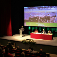 La Diputación de Badajoz ha participado en la subasta de ganado de la XI Feria Ganadera y Agroturística de la Siberia