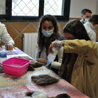 El proyecto pionero ‘Lana Regenerativa para mantener viva la dehesa’ que pone en valor los recursos naturales extremeño visita la finca La Cocosa