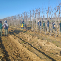 Alumnos del Centro Formación Benítez Barrero visitan el Vivero Provincial de la Diputación de Badajoz