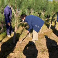 La escuela profesional &quot;Montijo te cuida V&quot; vista el Vivero Provincial de la Diputación de Badajoz