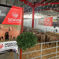 La Diputación de Badajoz participa en la subasta de la XXIII Feria-Artesanal Ganadera de La Coronada