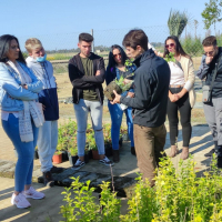 El Vivero Provincial de la Diputación de Badajoz recibe la visita de la Escuela Profesional Dual ‘’Zafra V’’