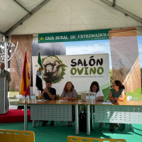 La Diputación de Badajoz recibe el premio al mejor semental de raza merina 2022 en el 37ª Salón Ovino de Castuera