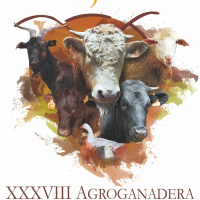 Diputación de Badajoz participa en la XXXVIII Feria Agroganadera de Trujillo