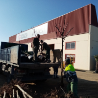 El Vivero Provincial de la Diputación de Badajoz comienza el reparto de plantas de la campaña de invierno