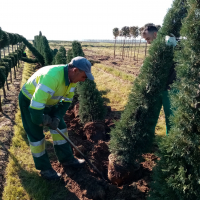 El Vivero Provincial de la Diputación de Badajoz comienza el reparto de plantas de la campaña de invierno