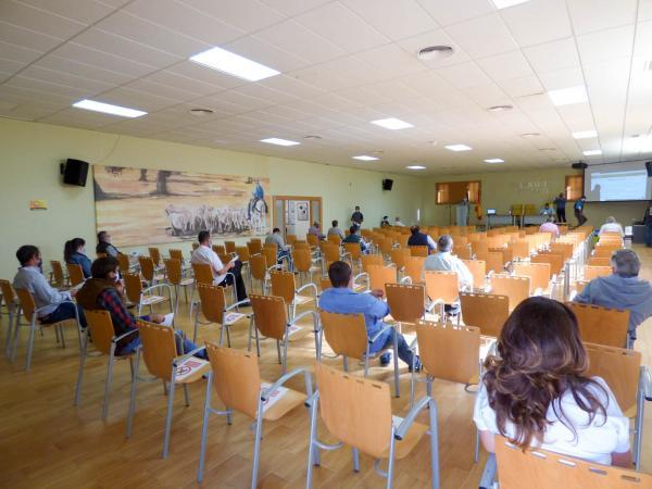 Imagen: La Diputación de Badajoz ha participado en la subasta nacional de raza merina de la 35 edición del S...