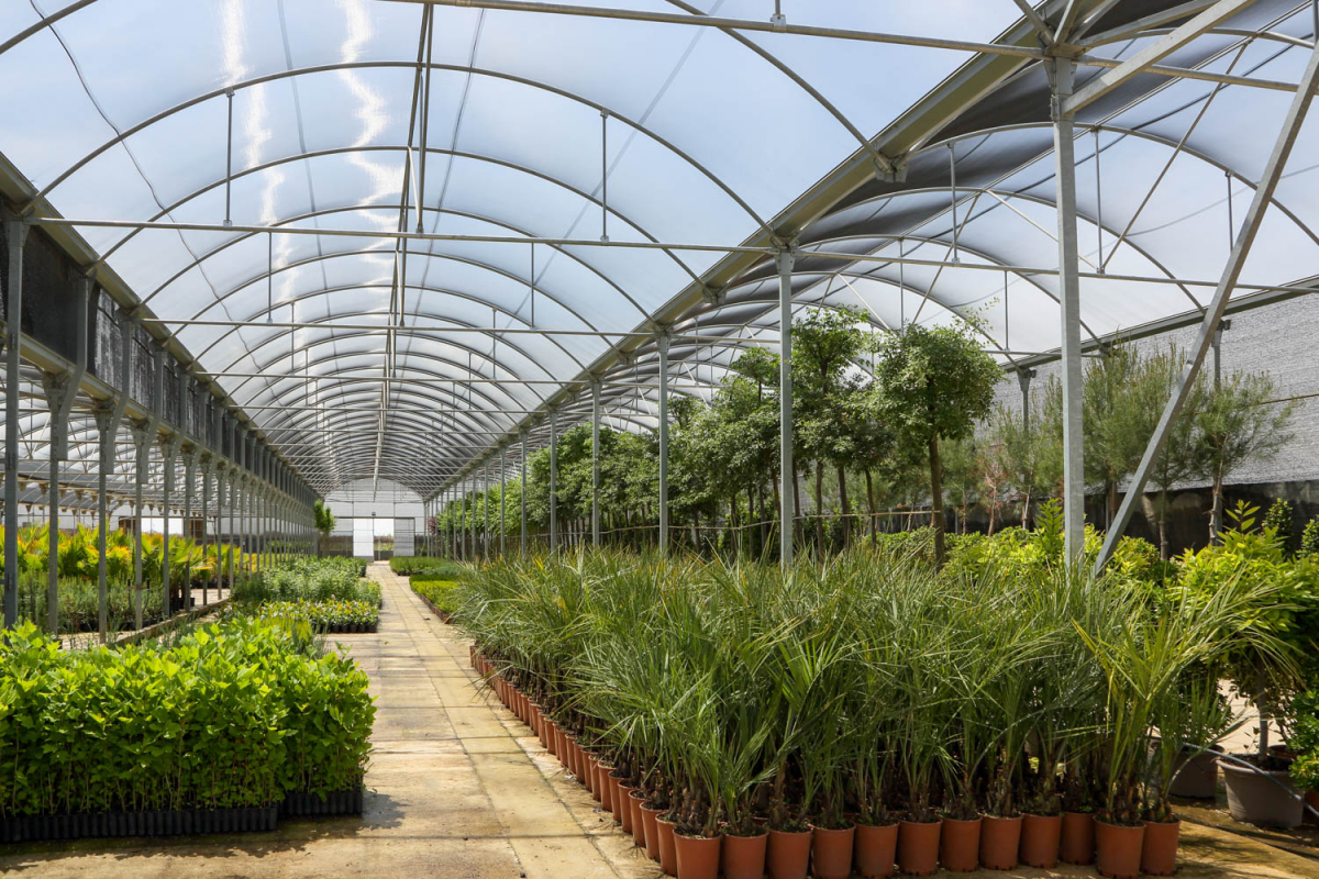 Comienza la campaña de suministro de plantas a Ayuntamientos por parte del Vivero Provincial