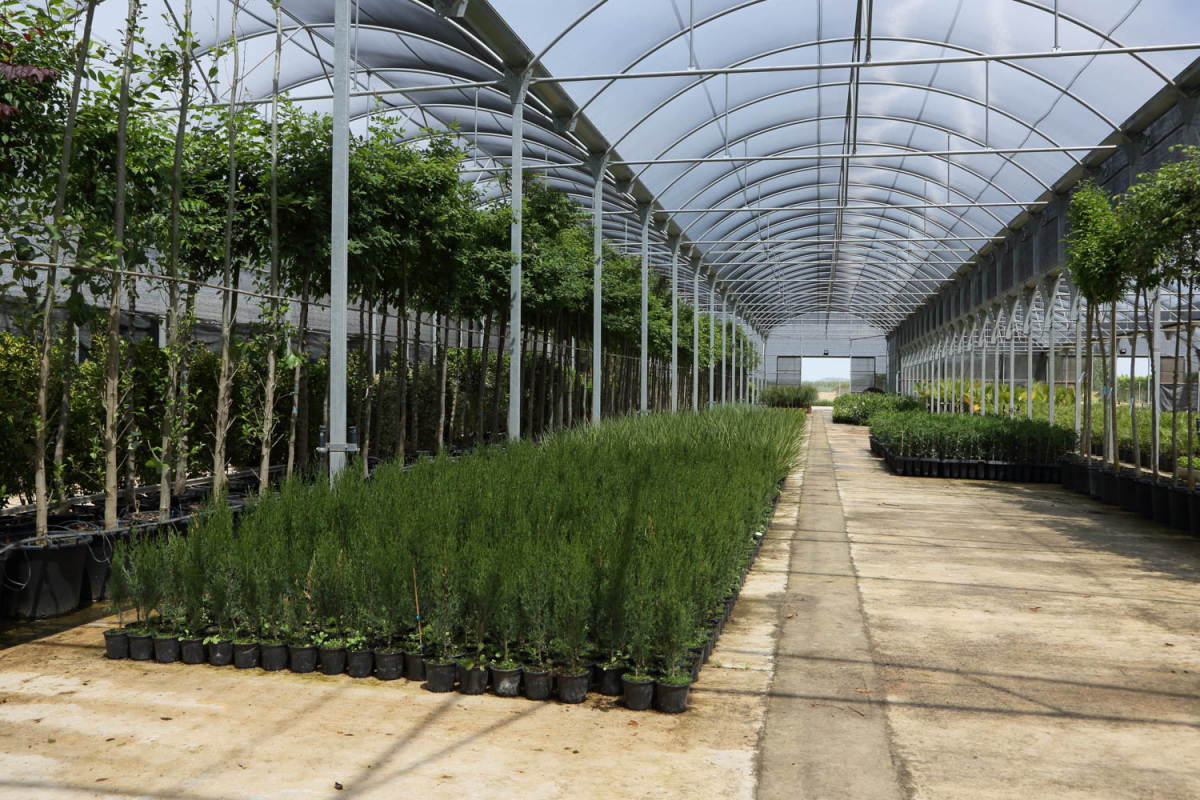 Comienza la campaña de suministro de plantas a Ayuntamientos por parte del Vivero Provincial