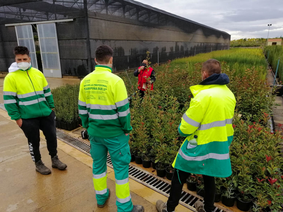 La Escuela Profesional `Campiña Sur II´ visita el Vivero Provincial de la Diputación de Badajoz