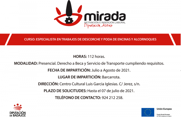 Imagen: La Diputación de Badajoz abre el plazo de solicitudes para una acción formativa de “Especialista en...