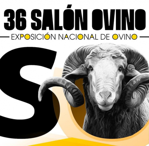 Imagen: La Diputación de Badajoz ha participado en la subasta nacional de raza merina de la 36 edición del S...