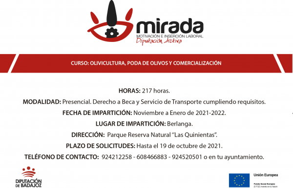Imagen: Un curso de ‘’Olivicultura, poda de olivo y comercialización’’ va a comenzar en Berlanga