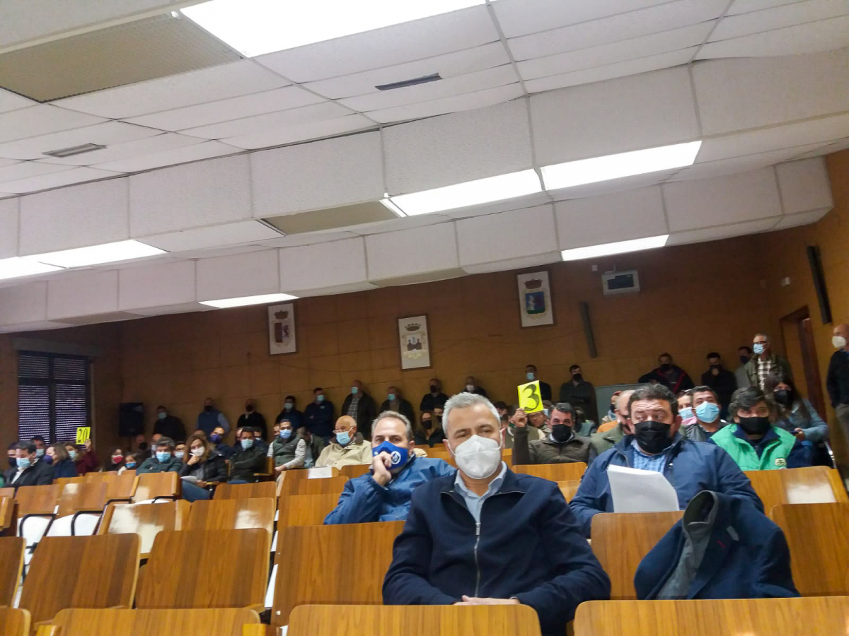 La Diputación de Badajoz ha participado en la subasta de ovinos de raza merina de la XXXVII Feria Agroganadera de Trujillo