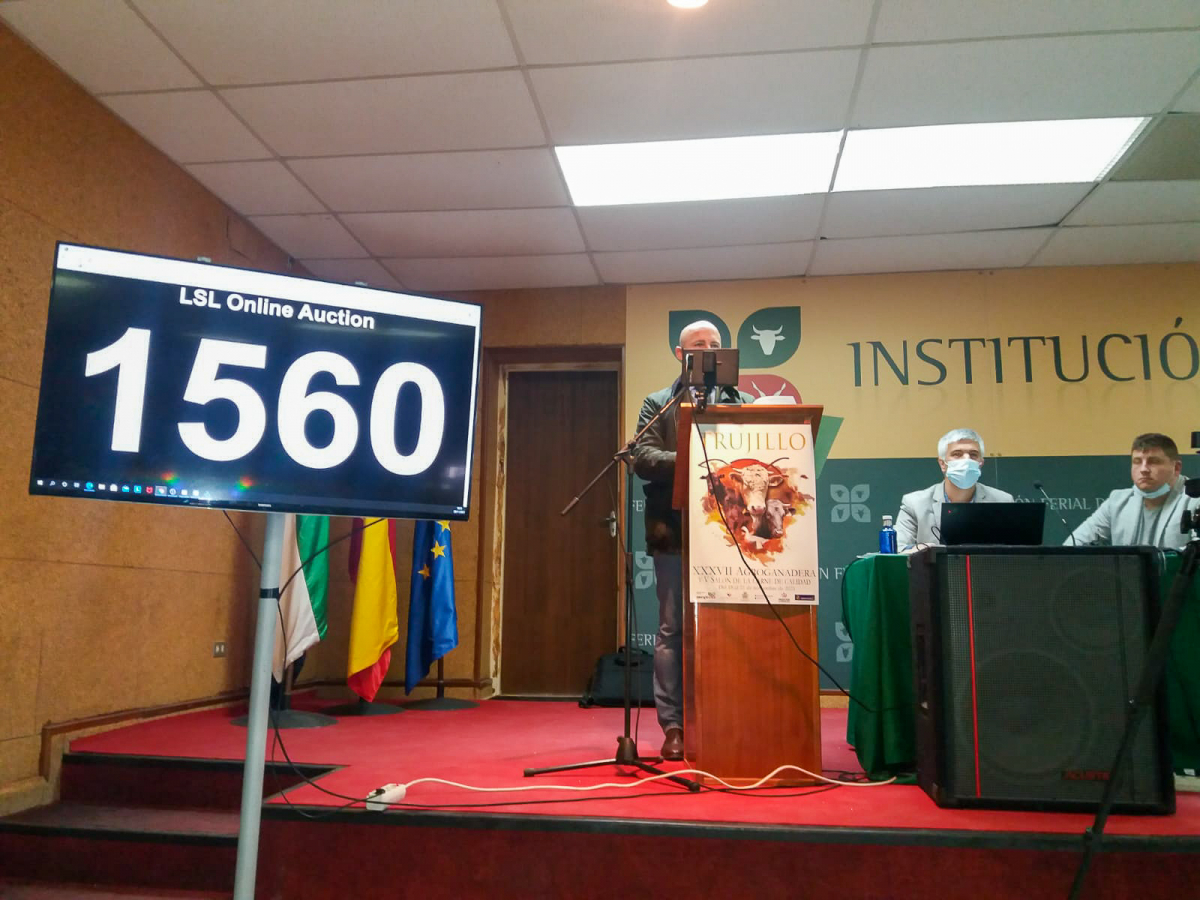 La Diputación de Badajoz ha participado en la subasta de ovinos de raza merina de la XXXVII Feria Agroganadera de Trujillo