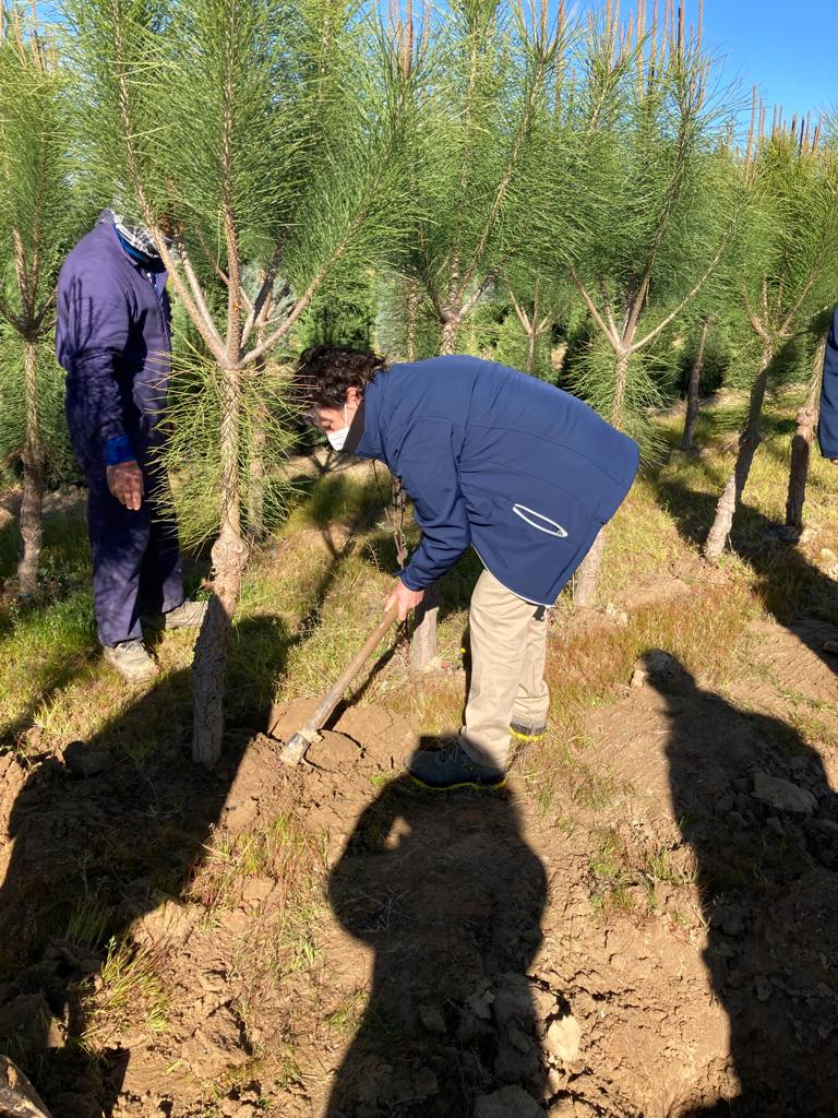 La escuela profesional &quot;Montijo te cuida V&quot; vista el Vivero Provincial de la Diputación de Badajoz