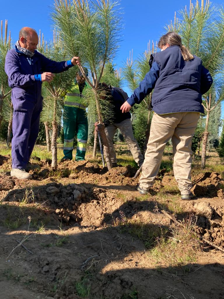 La escuela profesional &quot;Montijo te cuida V&quot; vista el Vivero Provincial de la Diputación de Badajoz