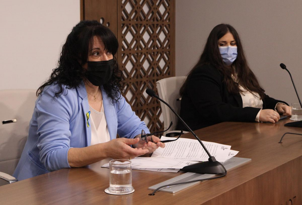 Imagen: La Diputación de Badajoz participa en la XXIII Feria Artesanal-Ganadera de La Coronada