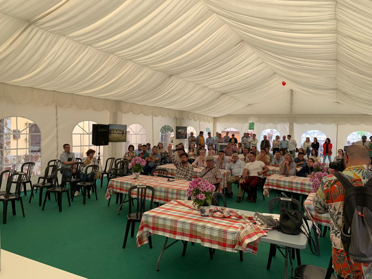La Diputación de Badajoz subasta 22 cabezas de ganado en la  XI edición de ‘’Vive la Trashumancia'' y la III ''Feria del Queso Artesano’’ de Valverde de Leganés