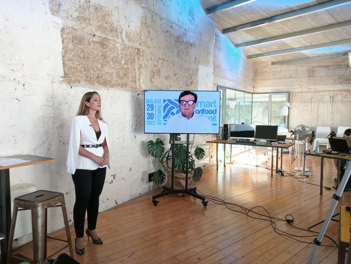 La Feria virtual de Empleo, Emprendimiento y Empresa 2022 de la Diputación de Badajoz comienza con una amplia participación