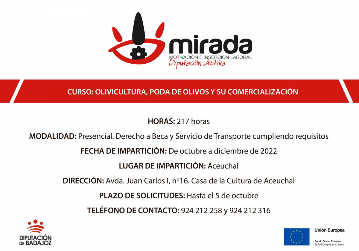 Aceuchal acogerá un nuevo curso de &quot;Olivicultura, Poda de Olivos y su Comercialización” impulsado por la Diputación de Badajoz