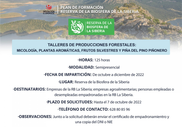 Imagen: Abierto el plazo para inscribirse en el itinerario formativo de ‘’Talleres de productos forestales’’...