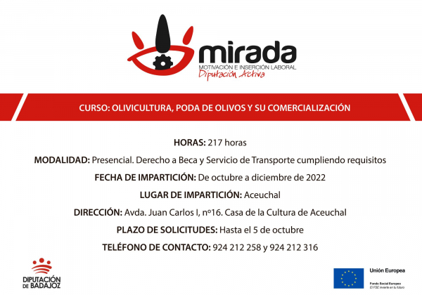 Imagen: Aceuchal acogerá un nuevo curso de &quot;Olivicultura, Poda de Olivos y su Comercialización&quot; im...