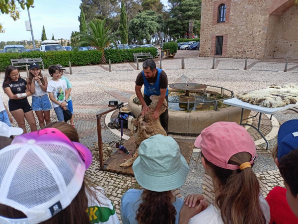 Imagen: La Diputación de Badajoz participa en la ‘’Esquila Didáctica’’ organizada en La Alcazaba