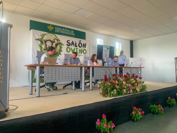 Imagen: Diputación de Badajoz ha participado en la subasta nacional de raza merina de la 38ª edición del Sal...