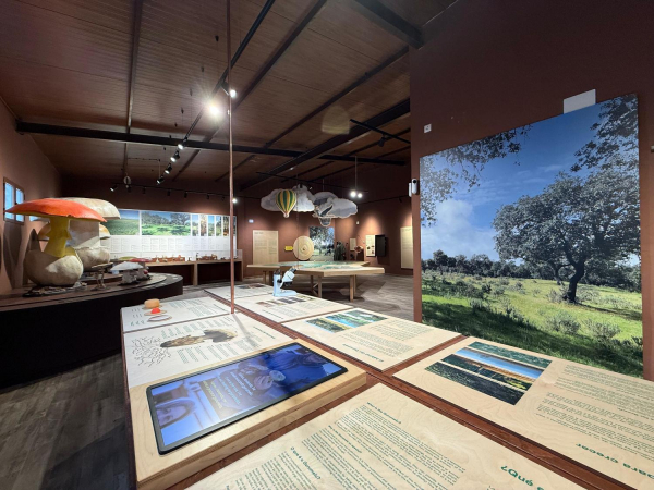 Imagen: El Museo Micológico ya es una realidad en Villanueva del Fresno