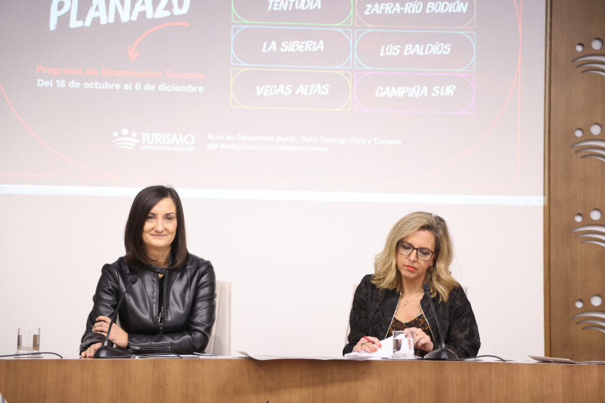 programa dinamización por comarcas 1.jpg