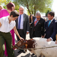 Imagen: La Diputación de Badajoz vuelve a estar presente un año más en la Feria Internacional Ganadera de Za...