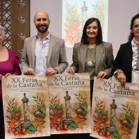 CASTAÑA 1.jpg