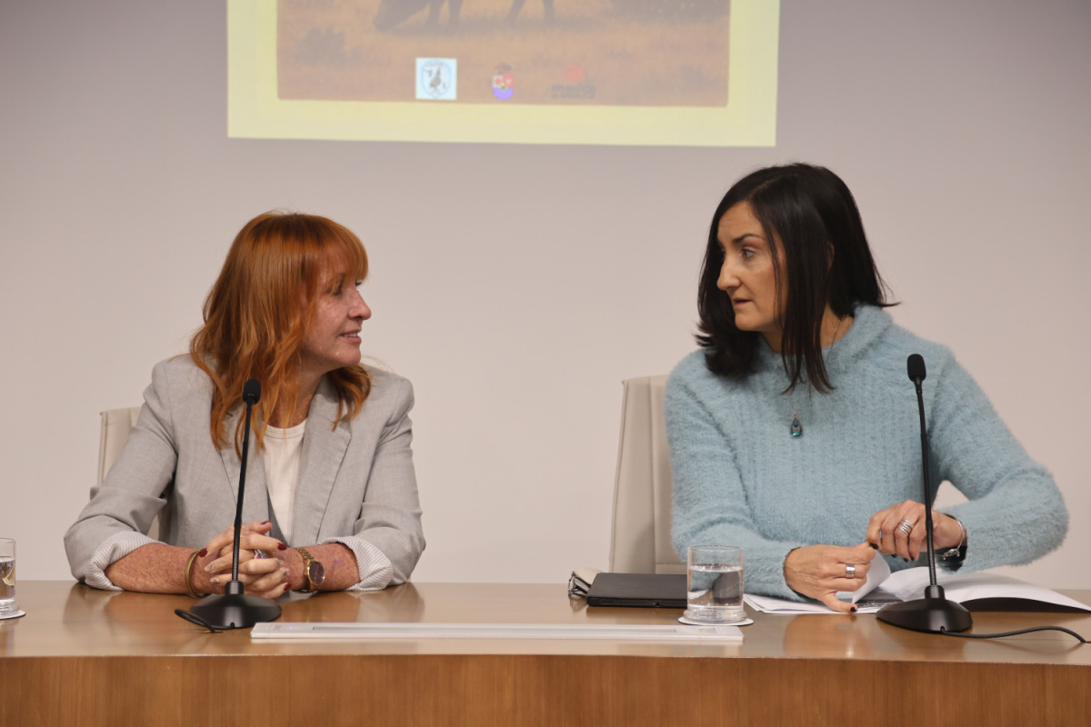 BODONAL DE LA SIERRA PORTADA.jpg