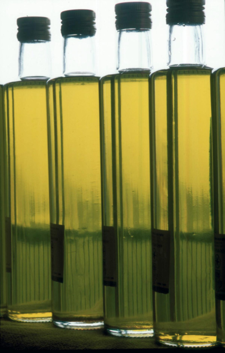 40 empresas y agentes turísticos de la provincia confirman su participación en Oleoturismo España