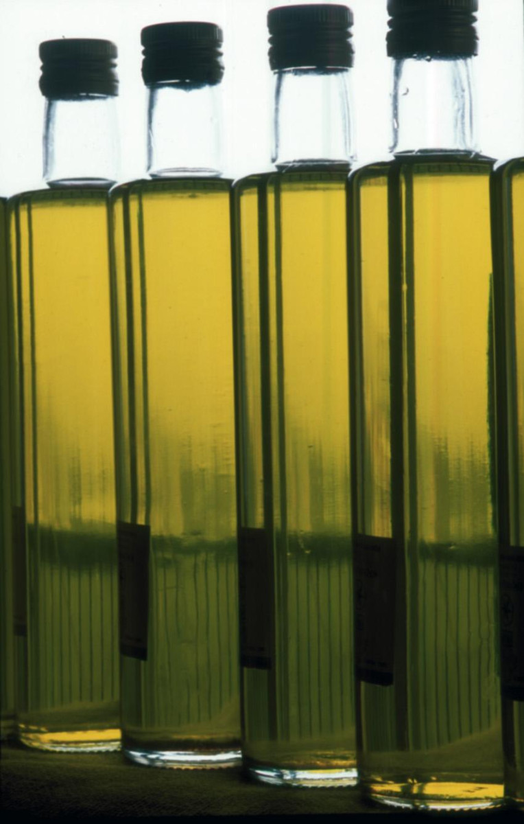 El proyecto Oleoturismo España, del que forma parte la Diputación, pone en marcha Oleoturismo Academy