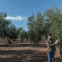 40 empresas y agentes turísticos de la provincia confirman su participación en Oleoturismo España