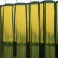 40 empresas y agentes turísticos de la provincia confirman su participación en Oleoturismo España