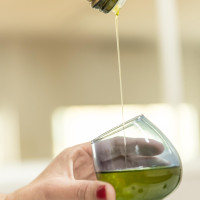 La Diputación de Badajoz impulsa las sesiones de sensibilización, difusión adhesión al proyecto ´Oleoturismo España´