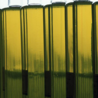 El proyecto Oleoturismo España, del que forma parte la Diputación, pone en marcha Oleoturismo Academy