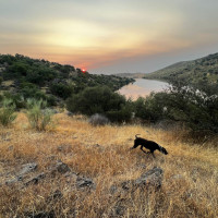 La Diputación de Badajoz impulsa la recuperación de la caza menor con ayudas a sociedades locales de cazadores