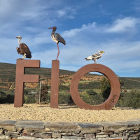 Imagen: La Diputación de Badajoz, presente en la XXI Feria Internacional de Turismo Ornitológico (FIO)